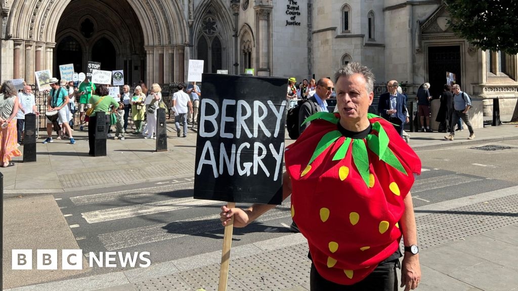 Wimbledon expansion land cannot be built upon, High Court told