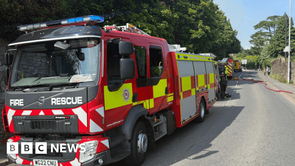 Totnes houses blaze accidental, say firefighters