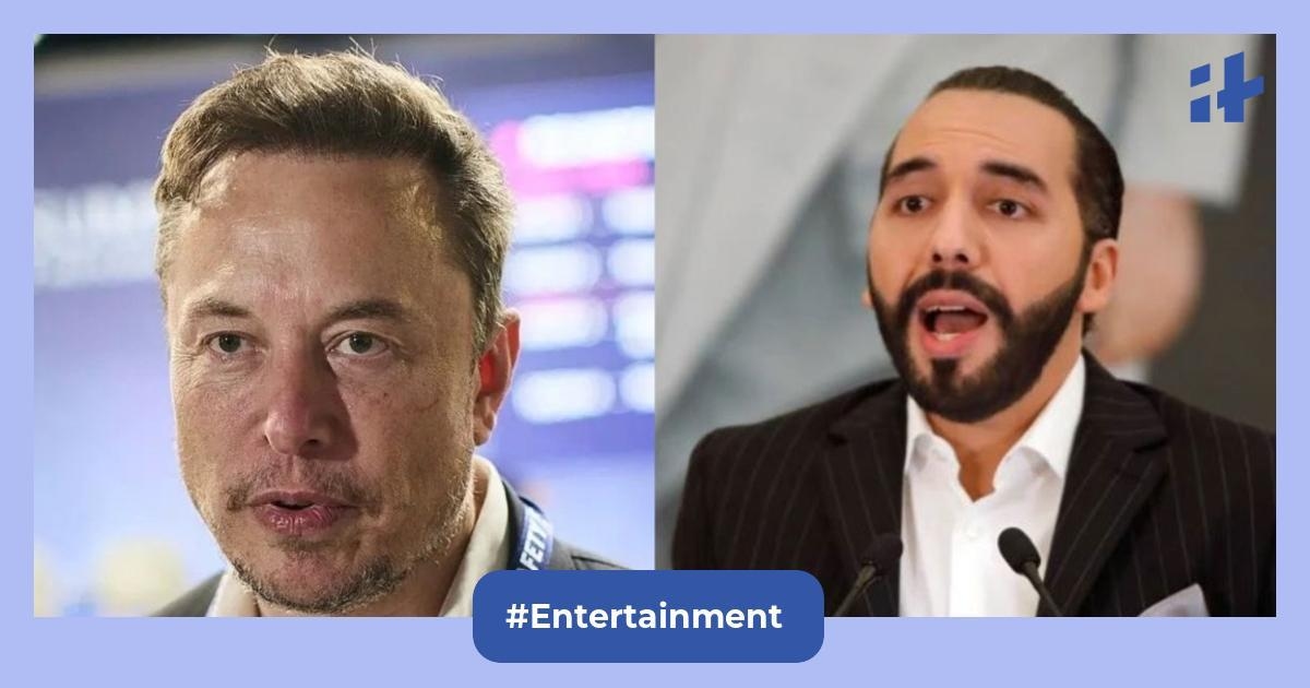 'Sparing wolf is shallow': Elon Musk, Nayib Bukele react to viral Paris harassment video, slam Fashion Week for ‘glorifying criminals'