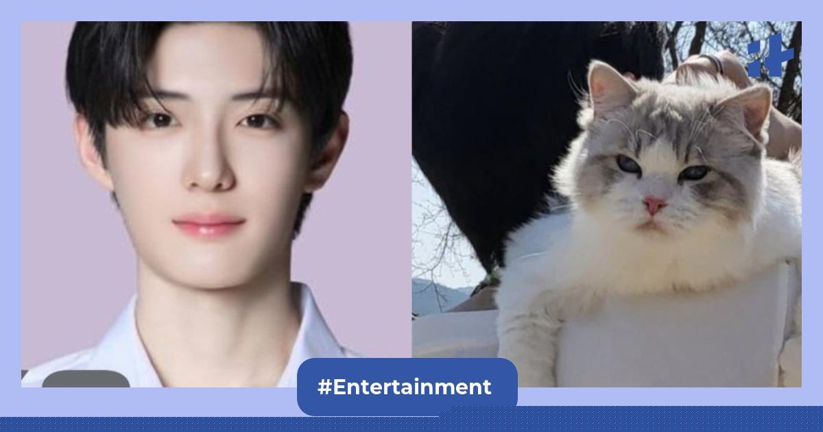 Boys II Planet trainee faces backlash after photos of him with his pet cat raises 'animal abuse' concerns