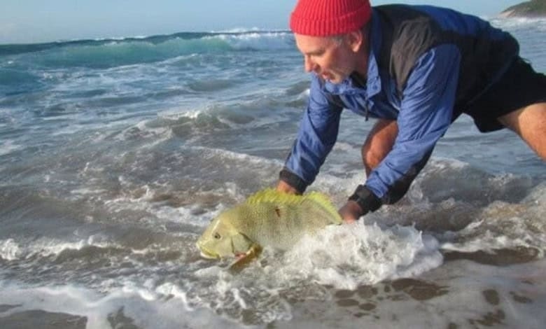 Catch and release helps conserve fish, 20-year study finds