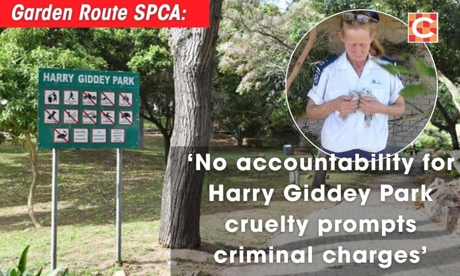 SPCA to lay criminal charges against Mossel Bay municipality