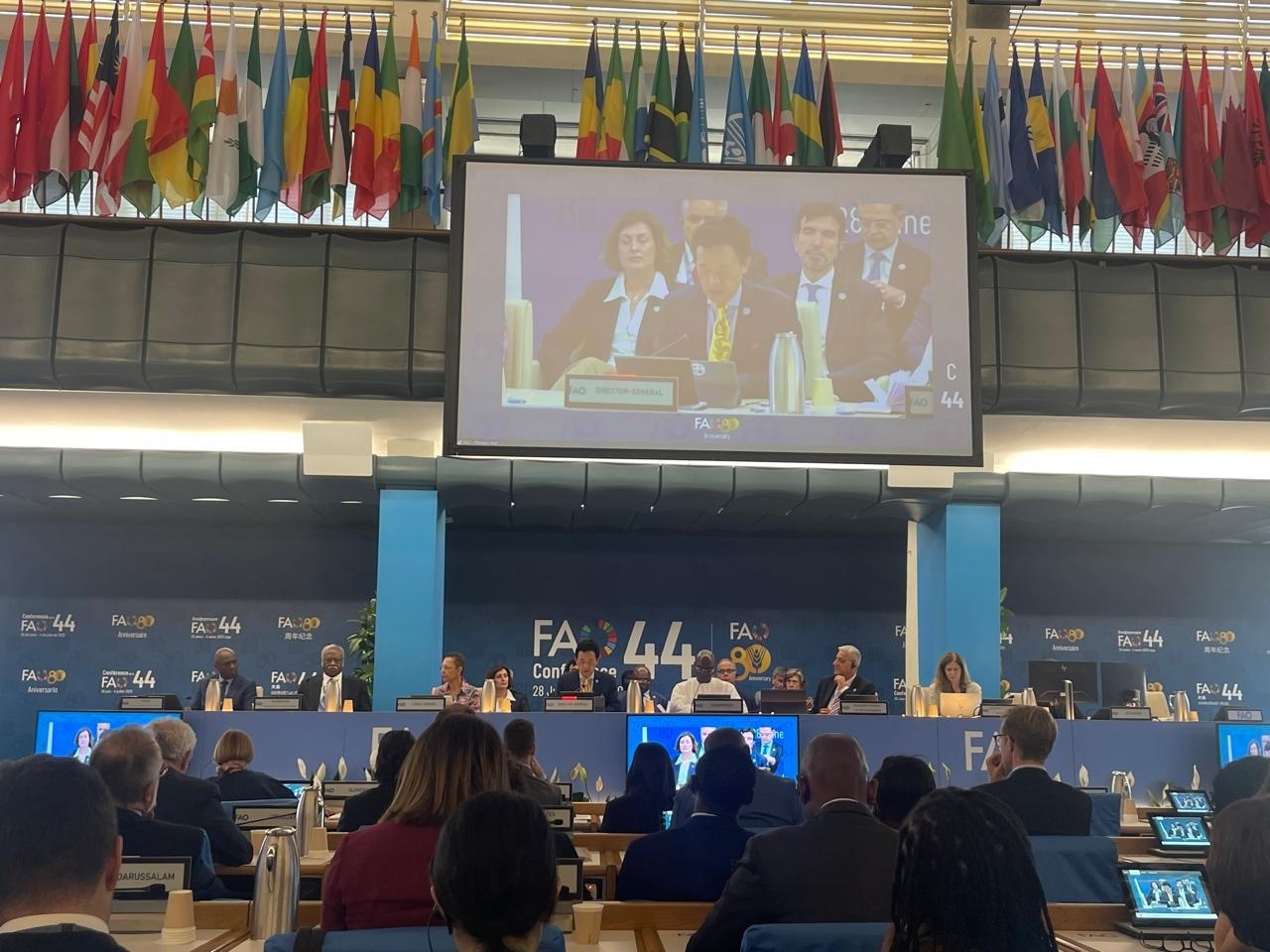 Egypt joins FAO General Committee as agriculture ministers meet in Rome