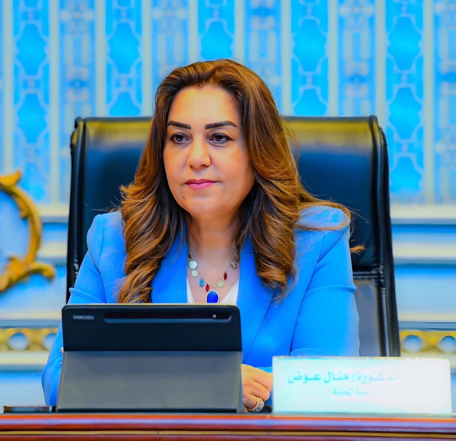Over 215,000 projects funded under Mashrouak, exceeding EGP 33bn in May: Minister