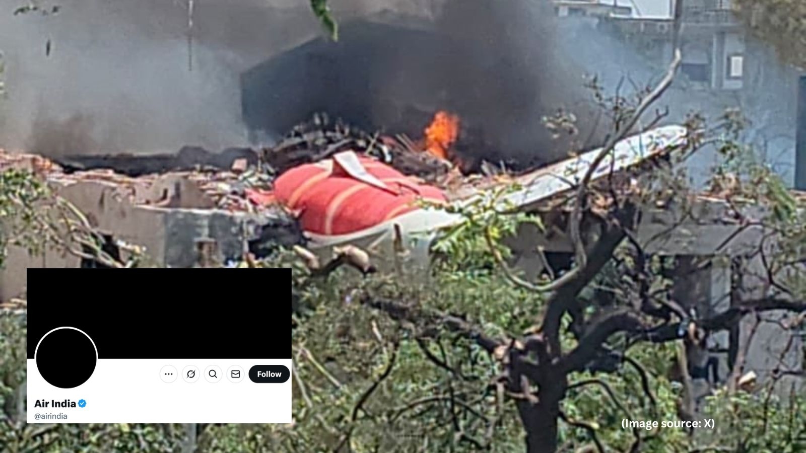 Air India Plane Crash: Airline blacks out profile pics after Ahmedabad tragedy