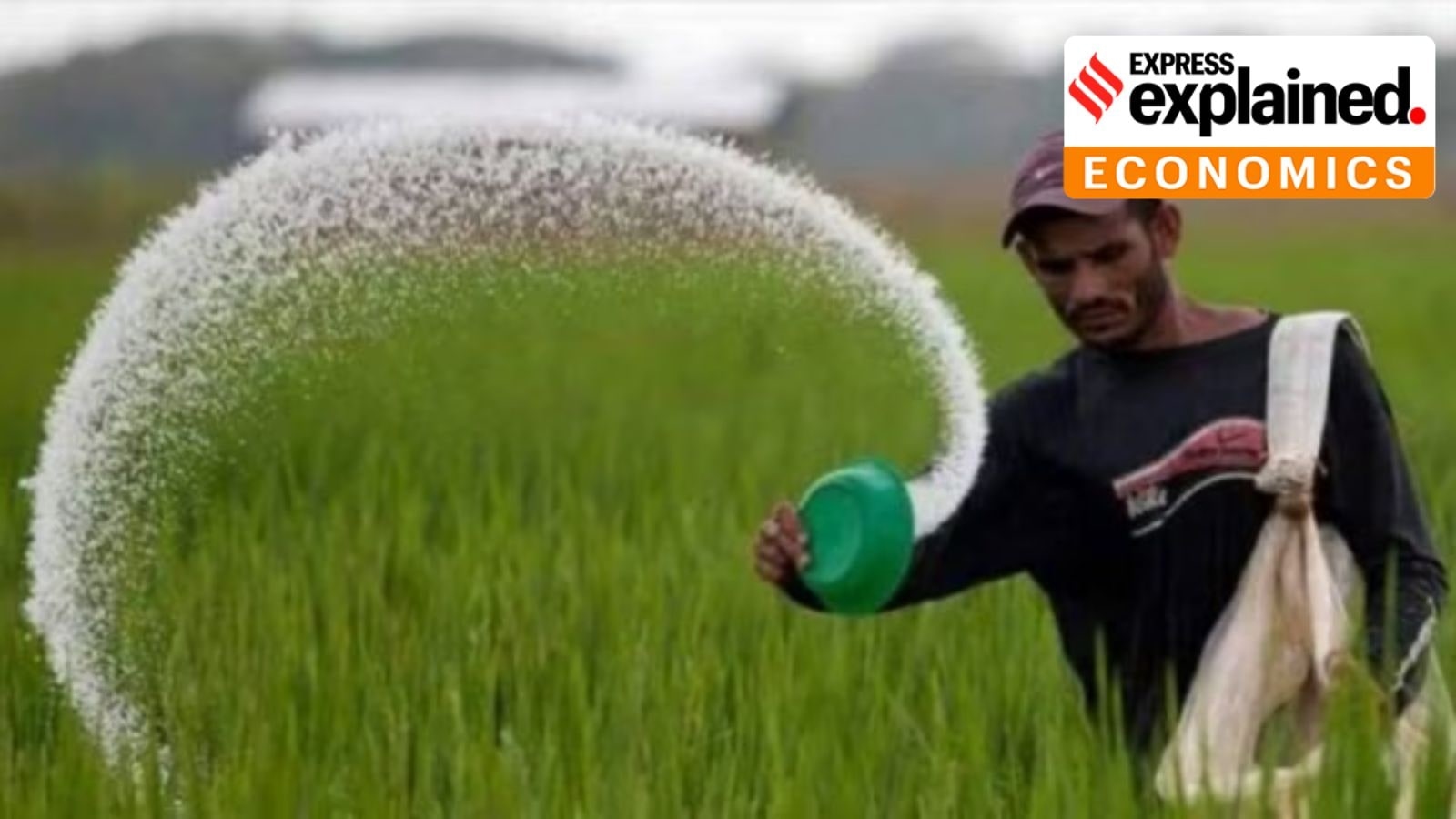 Explained: How China has caused a DAP supply squeeze
