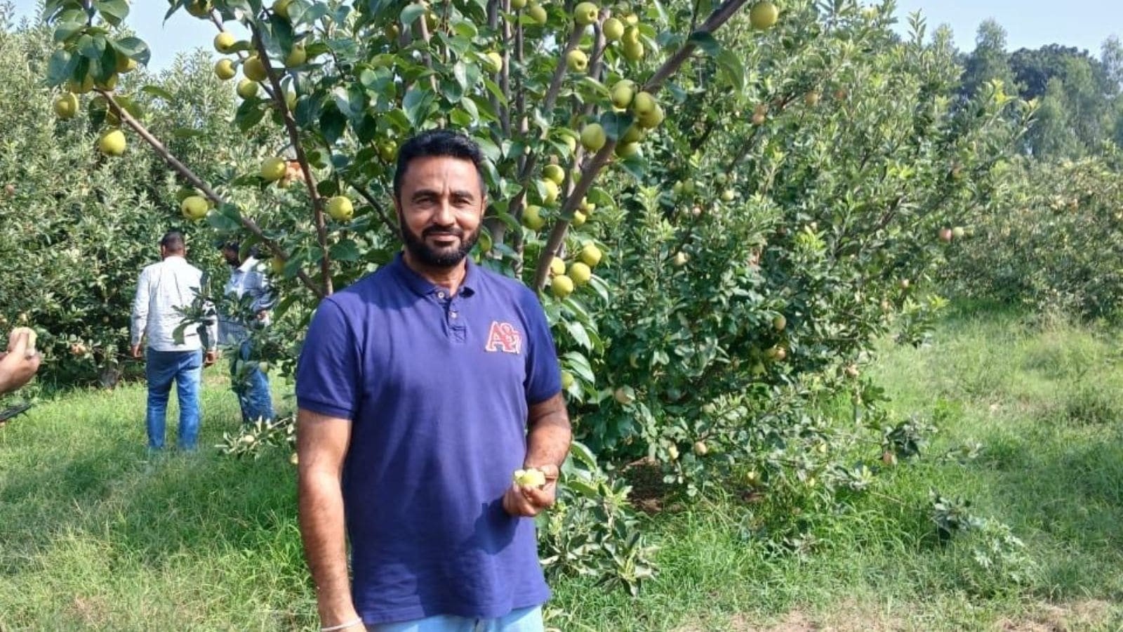 From Dubai's highways to Punjab's orchards: ‘Farming not just a livelihood, it's a fulfilling life'