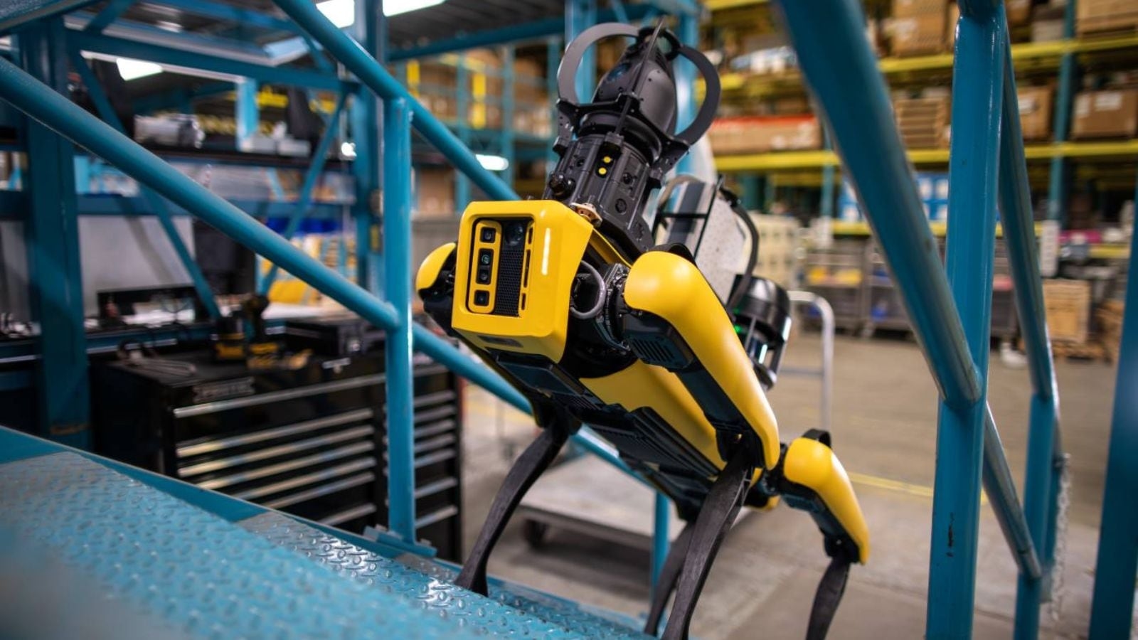 Watch: Boston Dynamics' four-legged robots steal spotlight on ‘America's Got Talent'