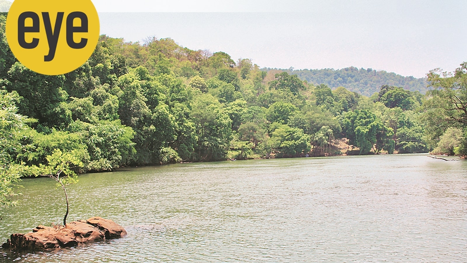 Environmentalist Arefa Tehsin hones her listening skills in the forests of Dandeli