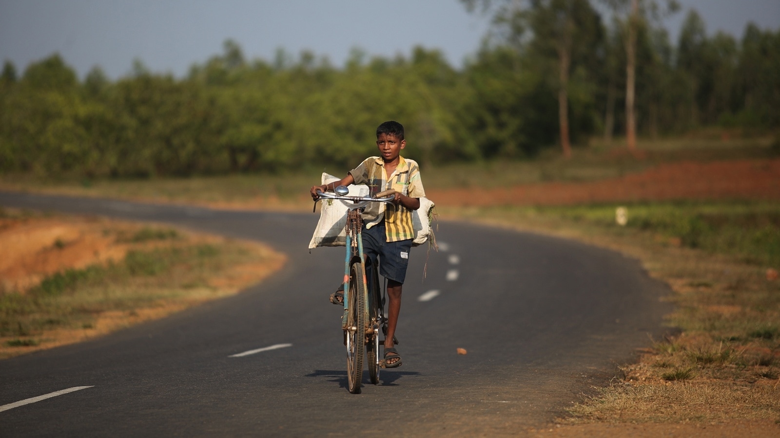 These states recorded the highest child labour rescues in 2024-25 — from spas, parlours, orchestras