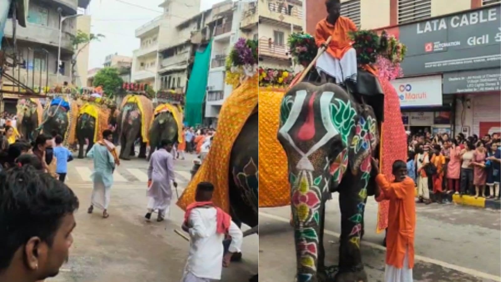 2 injured as elephants run amok during Jagannath Rath Yatra in Ahmedabad