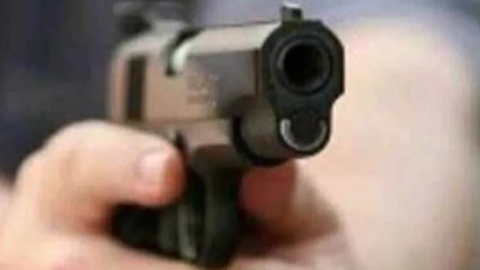 Delhi: Man shoots at rickshaw driver for brushing against his car, arrested