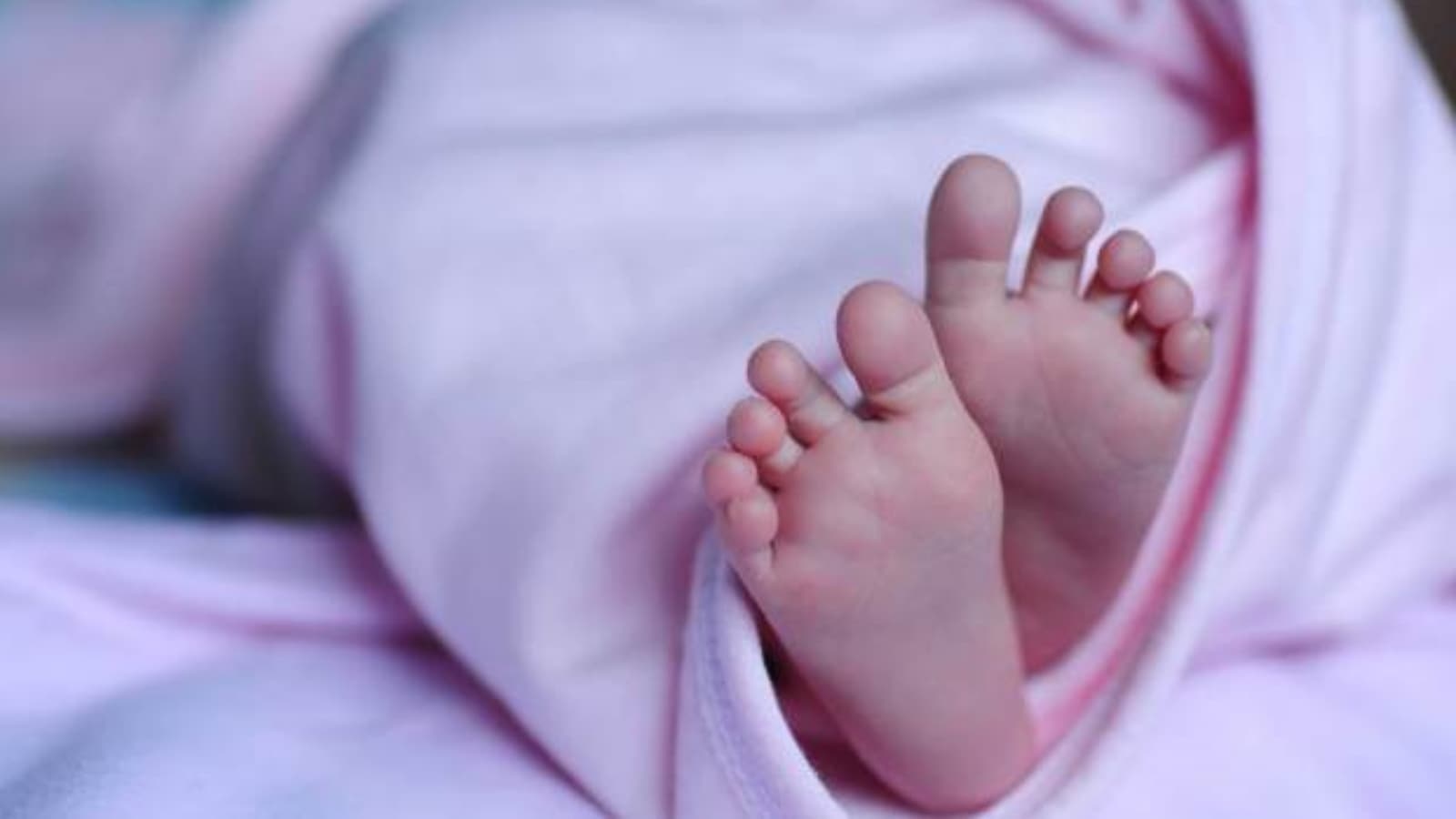 India's real fertility crisis is about choice, not numbers
