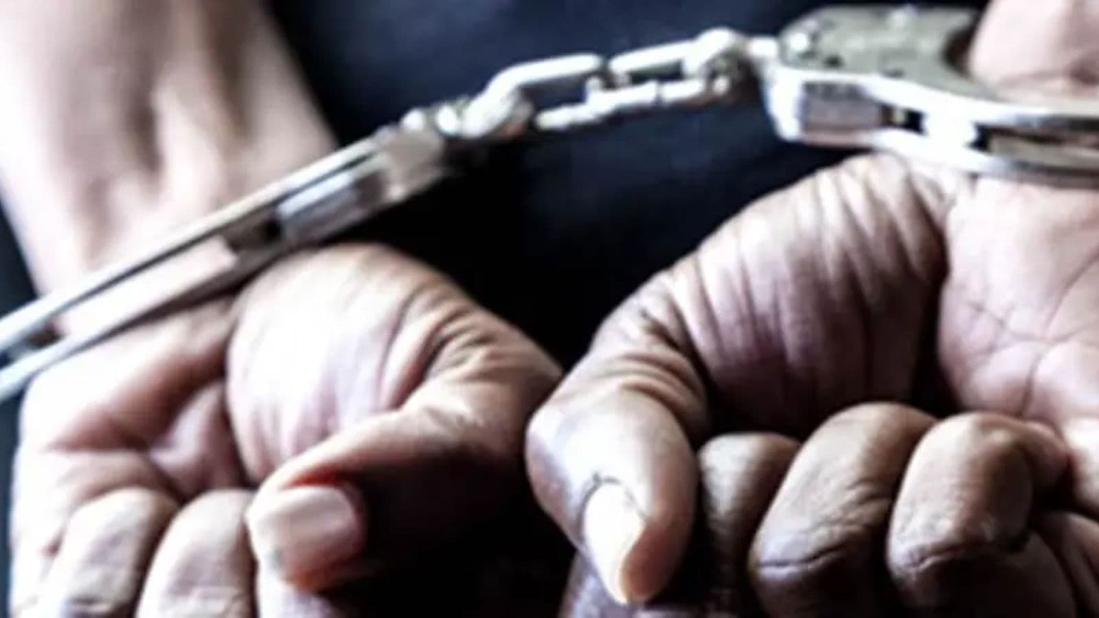 Nirav Modi's brother Nehal arrested in US on India's extradition request