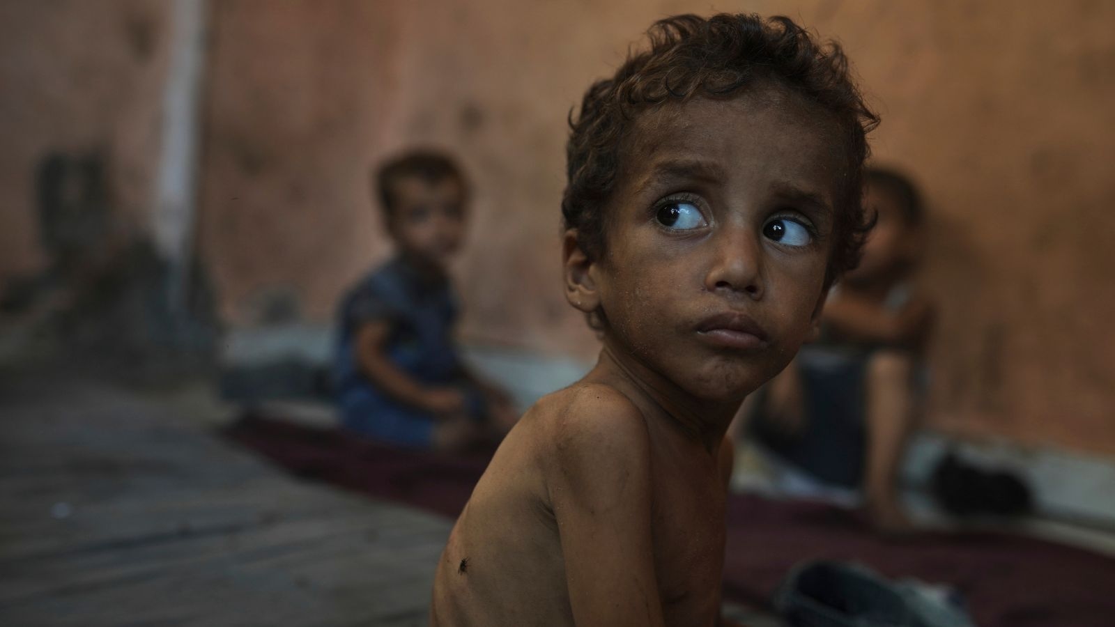 Lifesaving food for starving children in Gaza to run out by mid-August, warn UN agencies