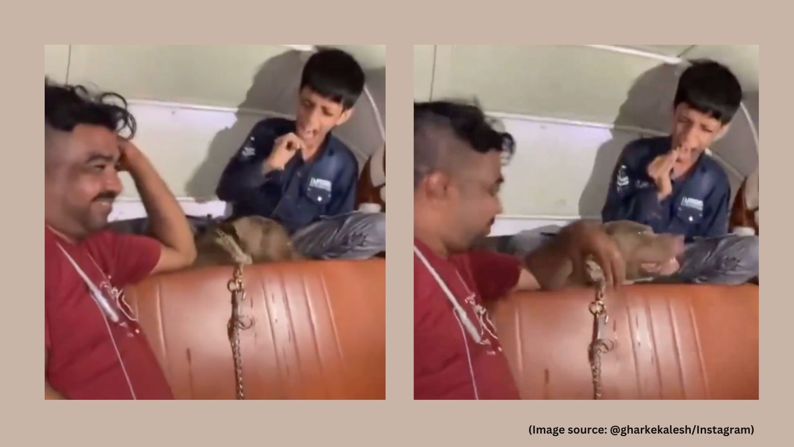 ‘Traumatic': Video of Mumbai man laughing as his pitbull bites boy inside auto-rickshaw sparks outrage