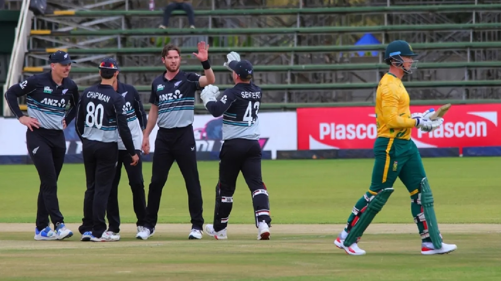 New Zealand vs South Africa T20I Live Cricket Score Streaming: Where to Watch NZ vs SA Today's Final Match Live telecast?