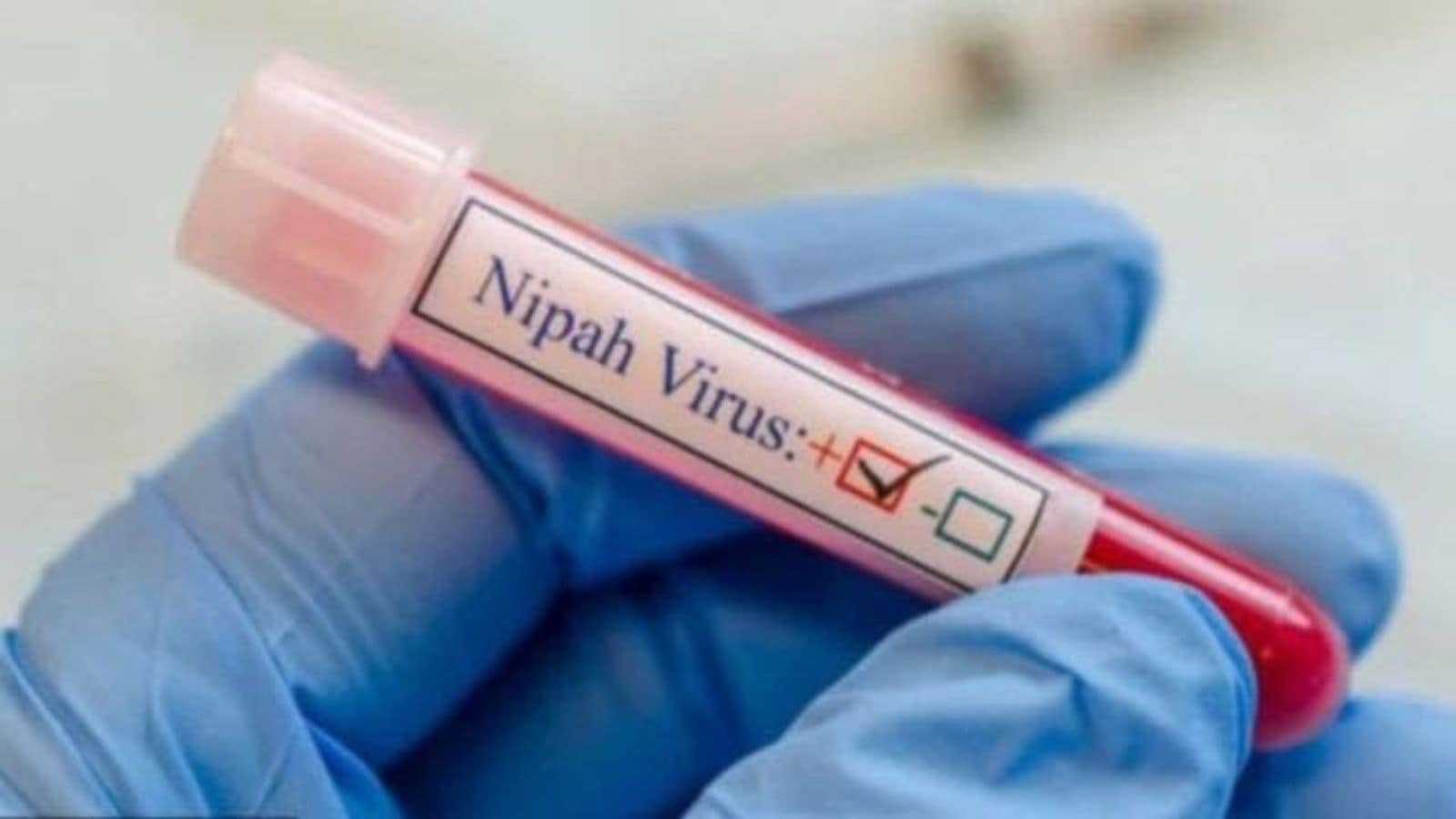 Kerala alert after Nipah virus cases: Here's why it happens every monsoon, know about signs and symptoms
