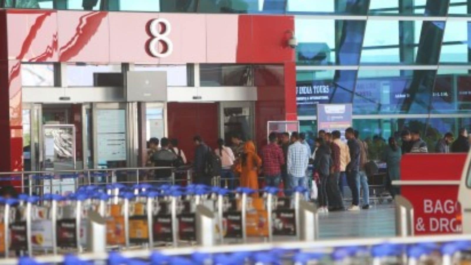 At 695, Delhi airport sees maximum number of bird hit incidents since 2020