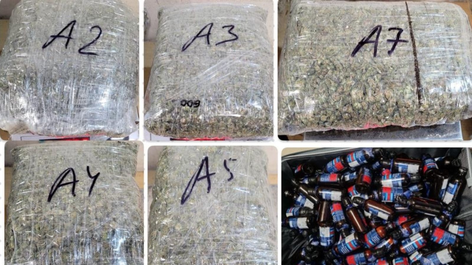 Customs foils smuggling attempts at Mumbai airport, 3 flyers from Bangkok held with weed worth Rs 7.23 crore