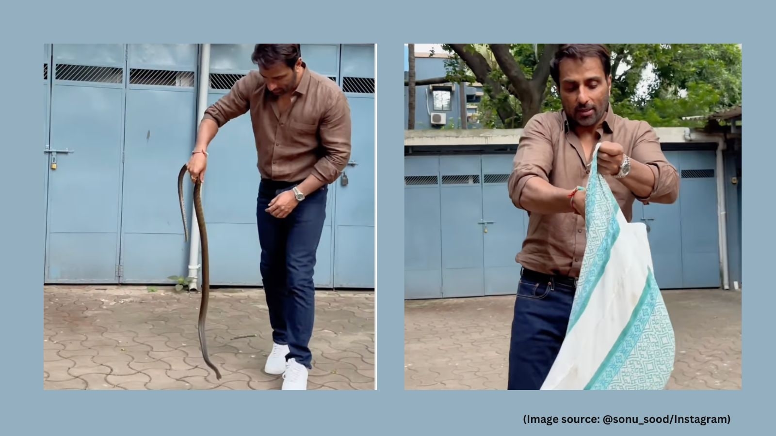 Sonu Sood rescues snake with bare hands at his residence, netizens react to viral video: ‘Scripted'
