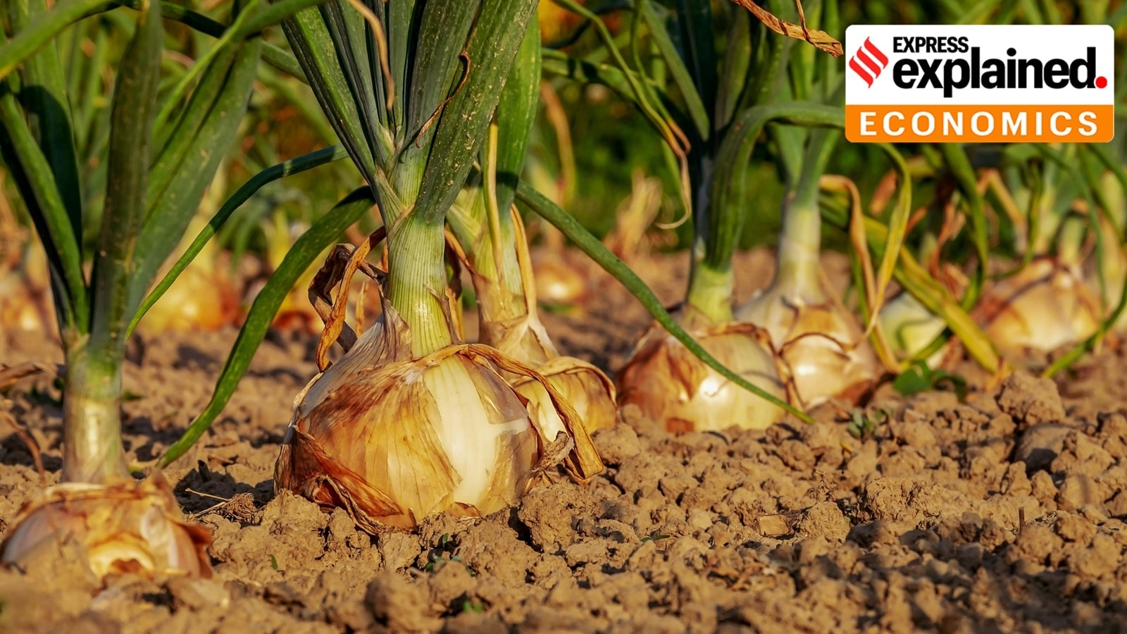 Explained: Biostimulants that aid plant growth, now under the Centre's scrutiny