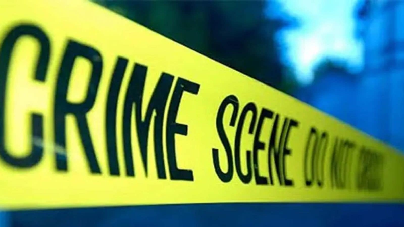 Wedding bells and a grisly murder: In a posh West Delhi colony, how secrets unravelled