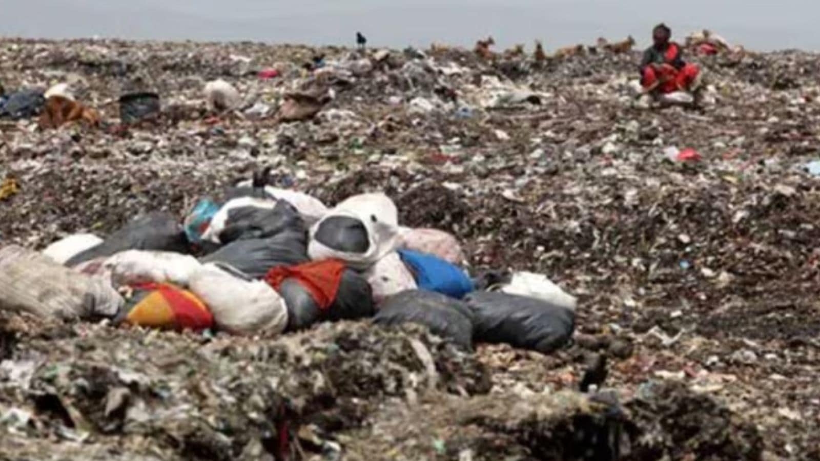 Three bids for BMC's Rs 2,368-crore waste cleanup, reclamation plan for Deonar