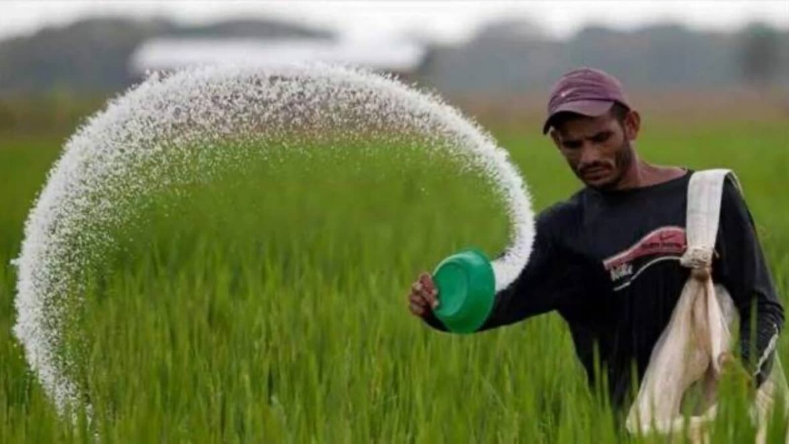 China is using fertiliser as a weapon. And Modi government has shown little urgency to help farmers