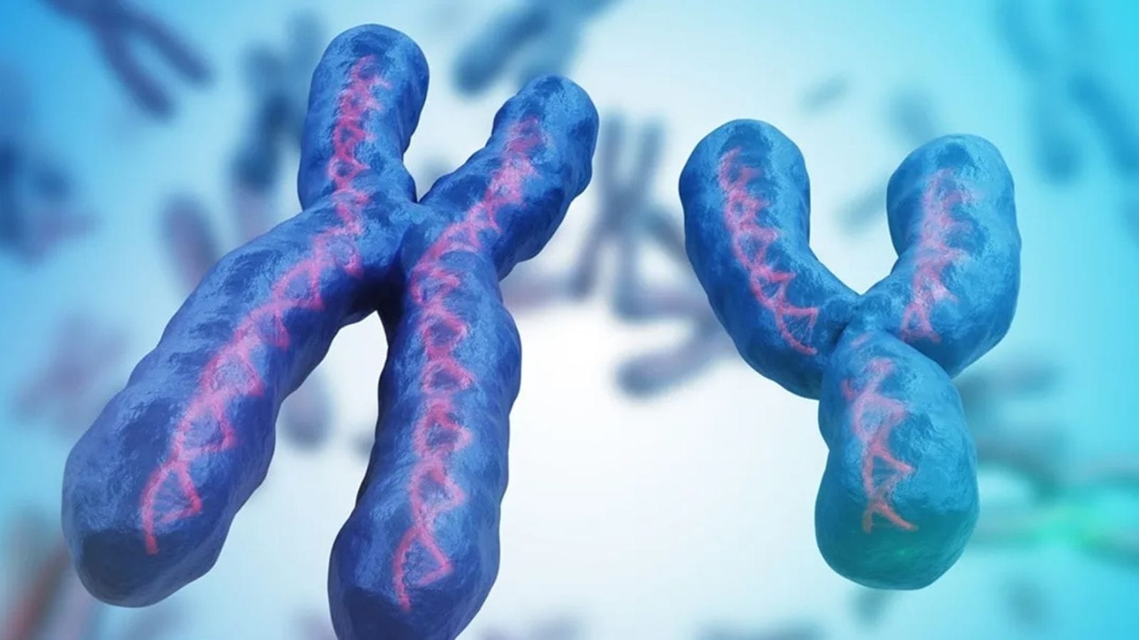 Revolutionising disease's treatment: Twin study identifies novel risk genes, molecular subtypes in thyroid cancer among Indians