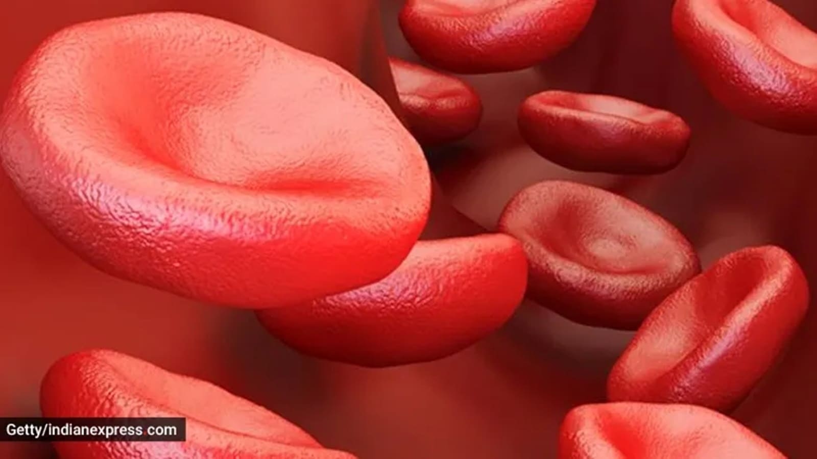 New sickle cell anaemia screening test kit to cost less than Rs 100, to be launched soon: DG-CSIR