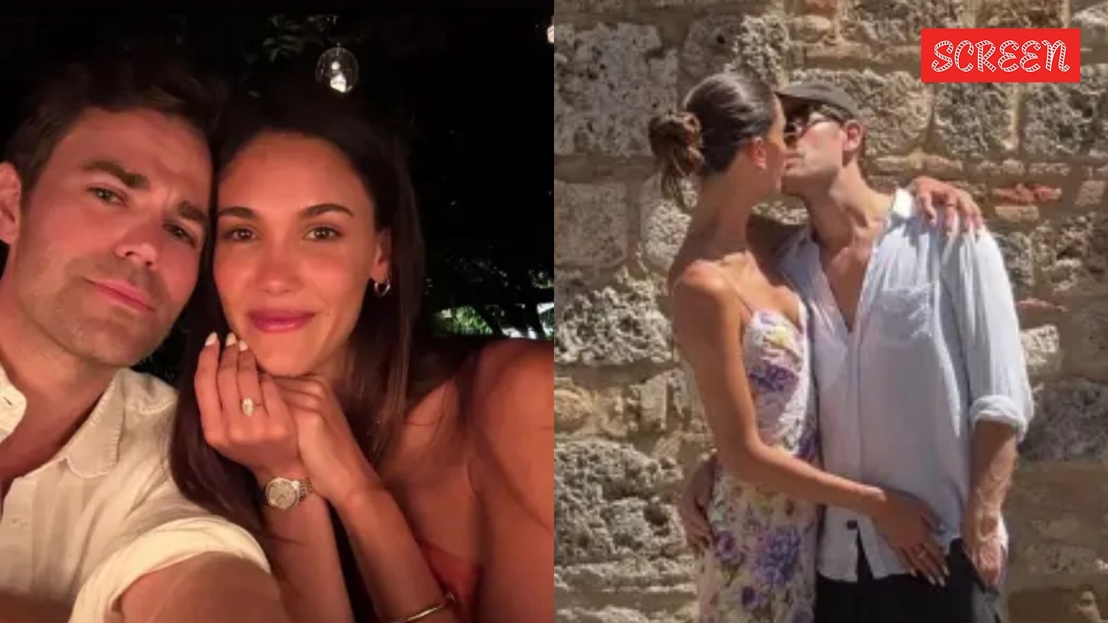 Vampire Diaries actor Paul Wesley engaged to 25-year-old girlfriend Natalie as ex-wife Ines de Ramon's romance with Brad Pitt heats up