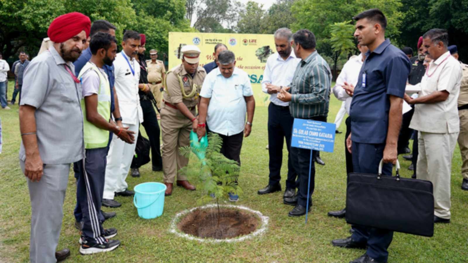 Chandigarh plants record 1.17 lakh trees