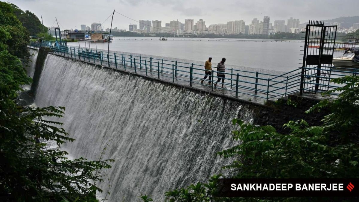 Pollution at Powai Lake: NGT orders setting up of panel for remedial measures