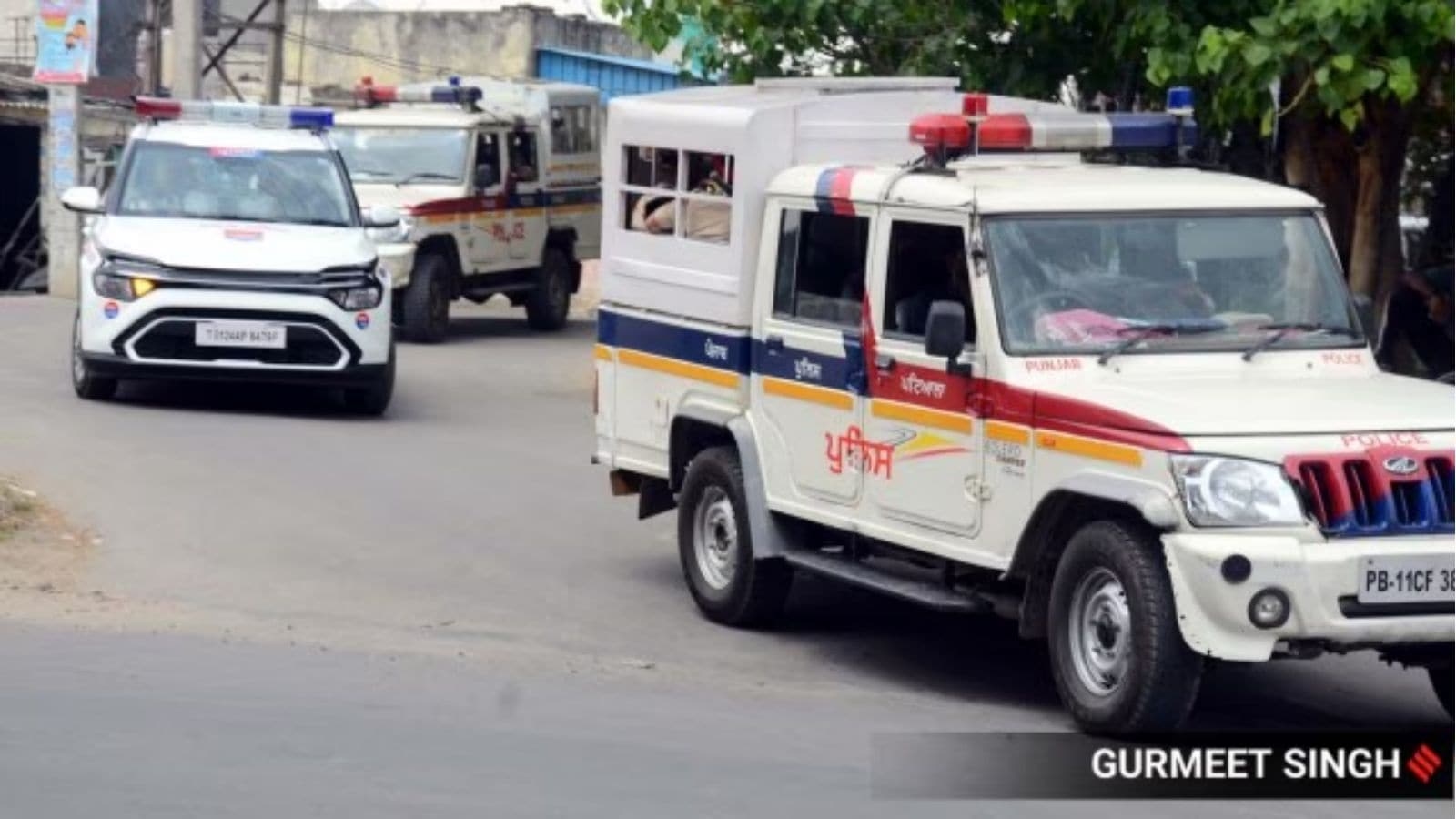 ‘Videos of Pitbull dogs hunting porcupines uploaded on social media': Punjab Police arrest ‘poacher' after Maneka Gandhi intervenes
