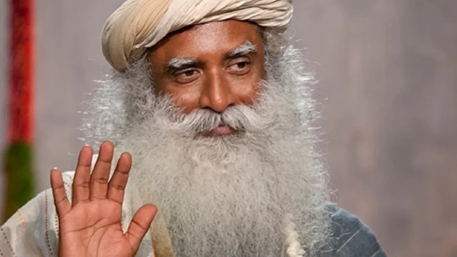 Sadhguru, 67, recalls what led to his second brain surgery: ‘Doctors thought they lost me because organ failure started happening'