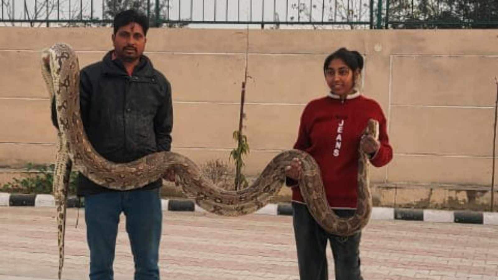 ‘Don't kill them, they're part of environment': Snake-catcher father-daughter duo