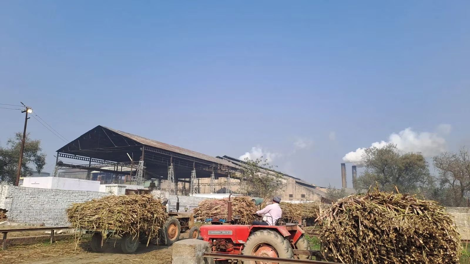 Why sugar mills are worried about ethanol import and multi-feed distilleries