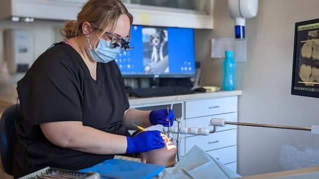 Half of requests for complex dental work are being rejected under national insurance plan