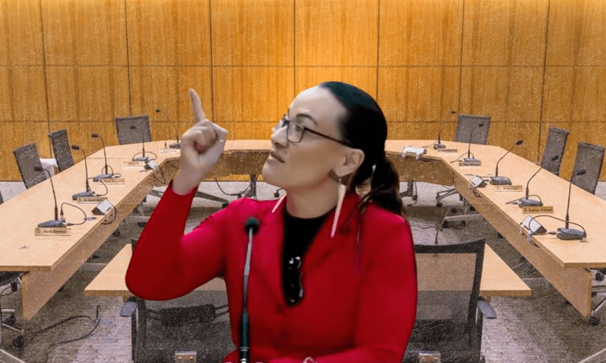 Regulatory Standards Bill hearing, day two: ‘Just good law-making' or ‘Act's ideological fetish'?