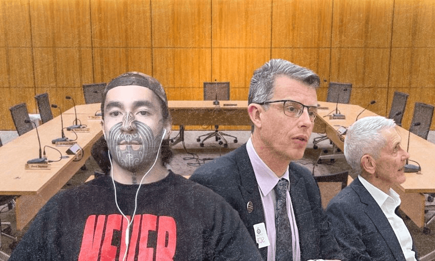Regulatory Standards Bill hearing, day four: The grand finale