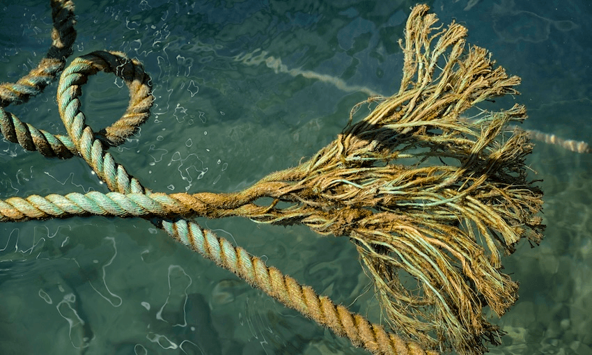 New Zealand isn't just failing to act on ocean protection, it's actively undoing progress
