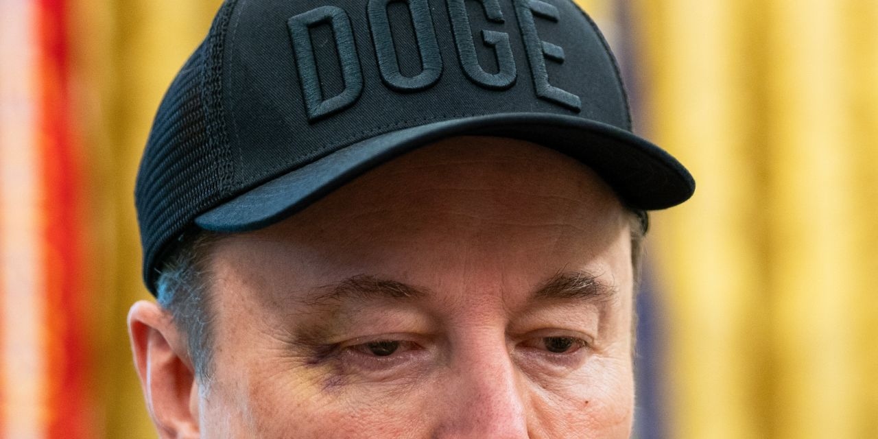The Fight Between Musk Acolytes and the White House for Control of DOGE