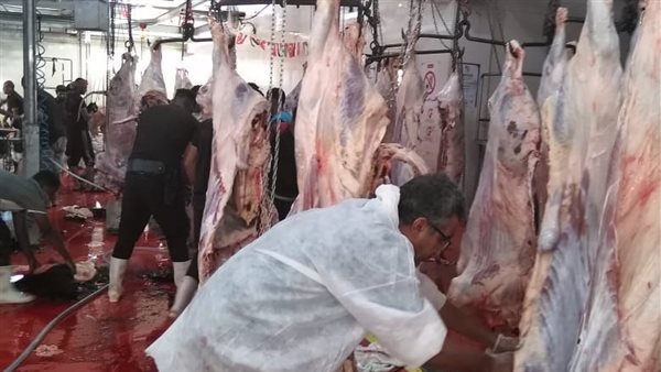 أسعار اللحوم في السوق المصري اليوم الأربعاء 18 يونيو2025