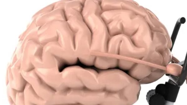 نصائح ذهبية لتعزيز صحة الدماغ وتحسين التركيز.. تعرف عليها