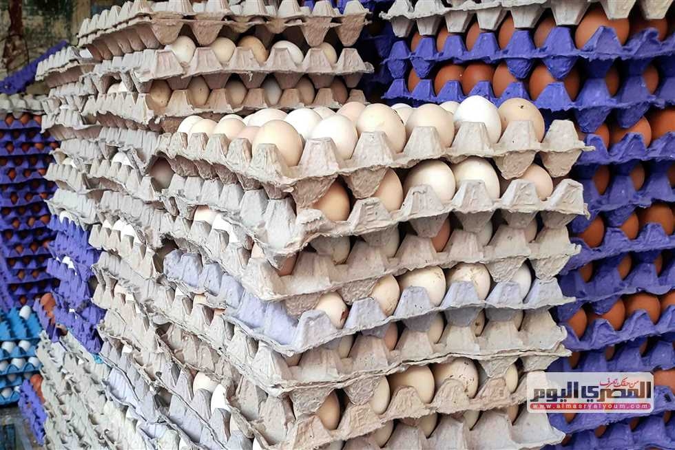 أسعار البيض والفراخ اليوم الثلاثاء 1 يوليو 2025 في أسواق الأقصر