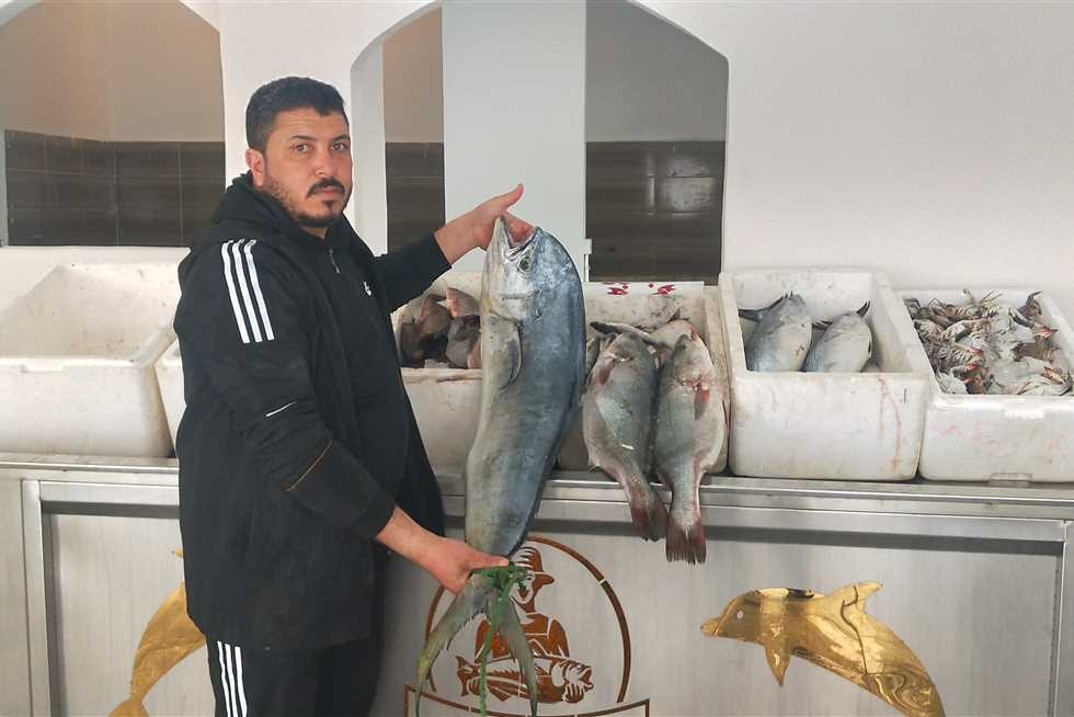 سعر سمك البلطي والبوري اليوم الاثنين 14 يوليو 2025 في مطروح