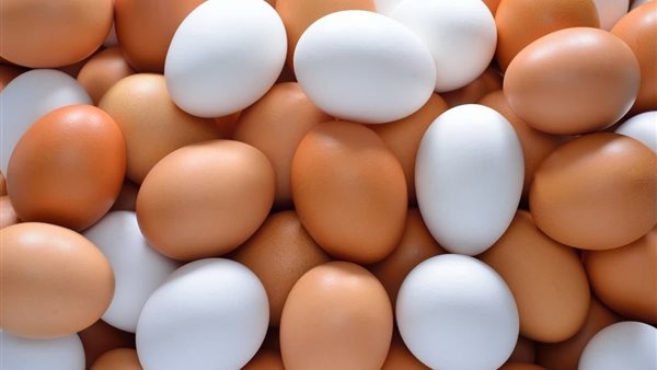أسعار طبق البيض اليوم السبت 28-6-2025 في قنا