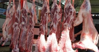 أسعار اللحوم البلدية اليوم الجمعة 27-6-2025 فى الإسماعيلية