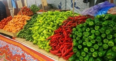 استقرار أسعار الخضراوات بأسواق محافظة مطروح اليوم السبت 28-6- 2025